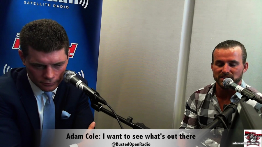 Adam_Cole_I_want_to_see_what_s_available_to_me_mp40078.jpg