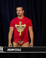 Adam_Cole_Interview_and_attack_on_Papa_Briscoe_mp40013.jpg