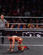 WWE_NXT_TakeOver_New_York_2019_720p_WEB_h264-HEEL_mp41727.jpg
