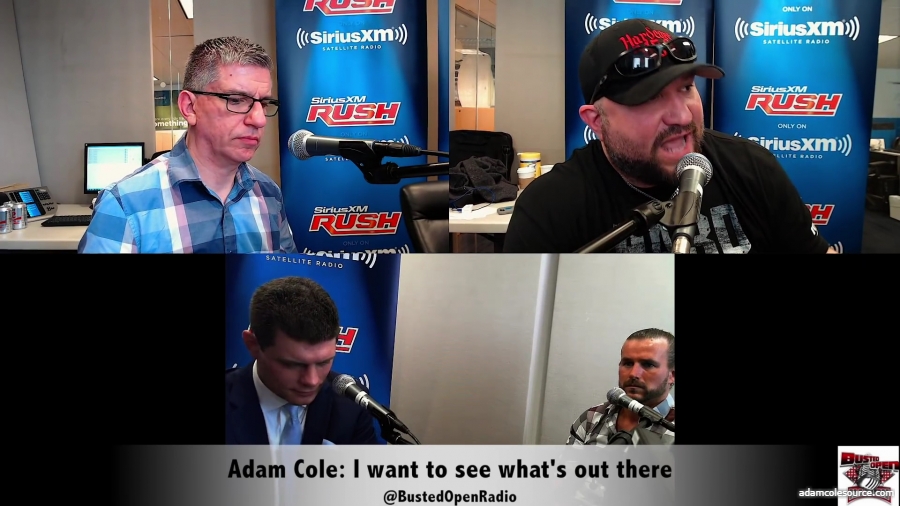 Adam_Cole_I_want_to_see_what_s_available_to_me_mp40007.jpg