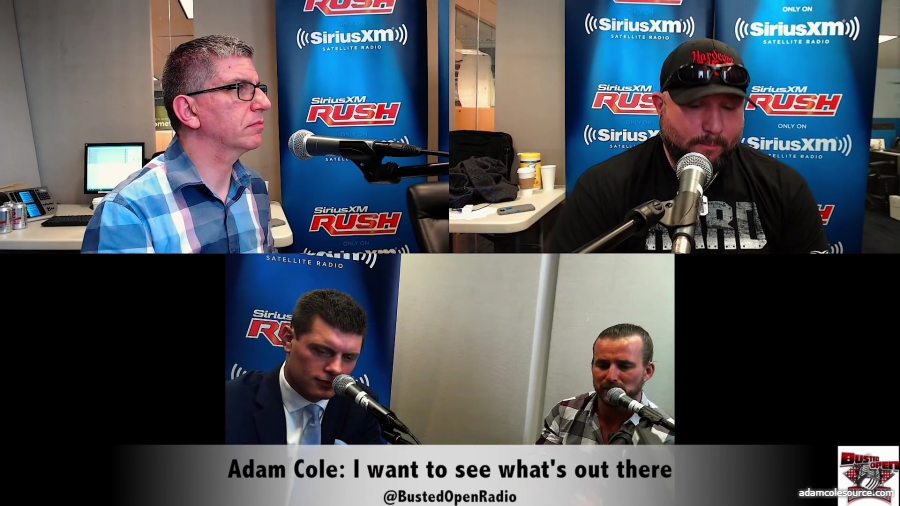 Adam_Cole_I_want_to_see_what_s_available_to_me_mp40018.jpg