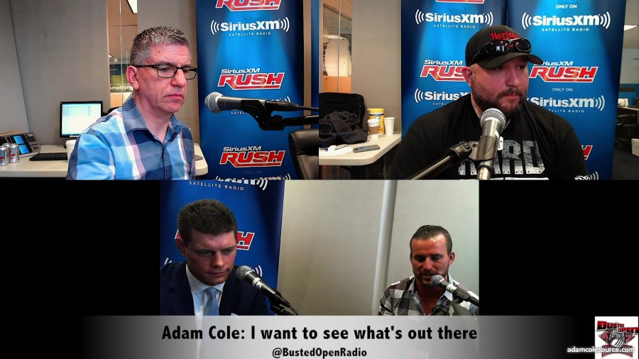 Adam_Cole_I_want_to_see_what_s_available_to_me_mp40019.jpg