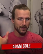 Adam_Cole_s__too_sweet__pick_to_win_the_Men_s_Royal_Rumble_Match__Ask_the_WWE_PC_mp40028.jpg
