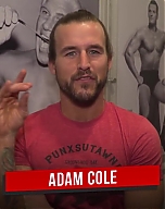 Adam_Cole_s__too_sweet__pick_to_win_the_Men_s_Royal_Rumble_Match__Ask_the_WWE_PC_mp40034.jpg