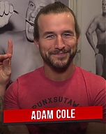 Adam_Cole_s__too_sweet__pick_to_win_the_Men_s_Royal_Rumble_Match__Ask_the_WWE_PC_mp40035.jpg