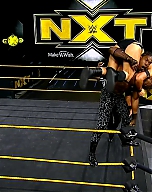 WWE_NXT_2020_05_06_720p_HDTV_x264-Star_mkv0245.jpg